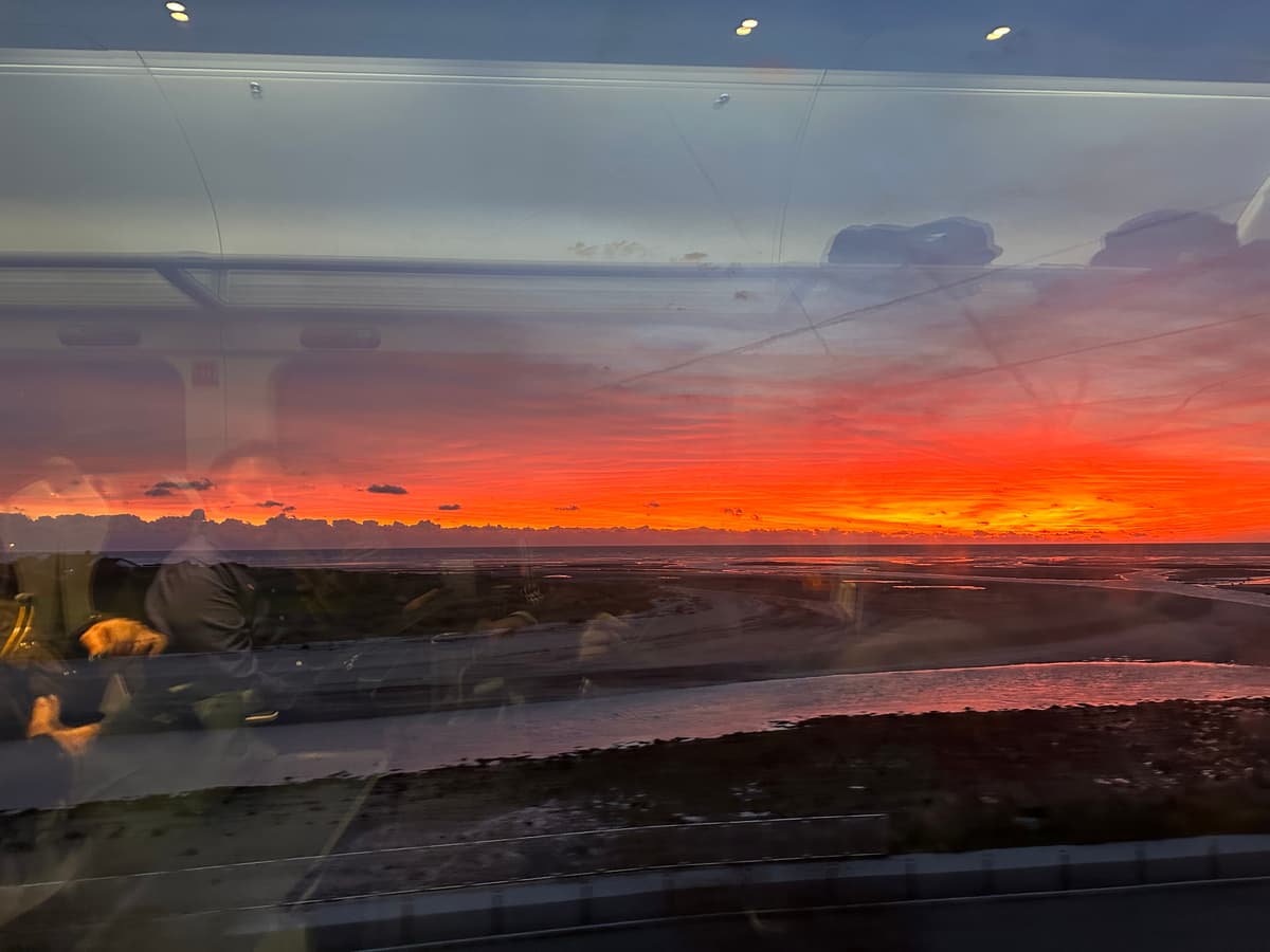 SaaStock 2023 review image by Léan  Hannigan